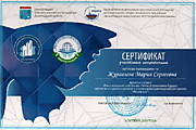 Сертификат участника Всероссийской конференции